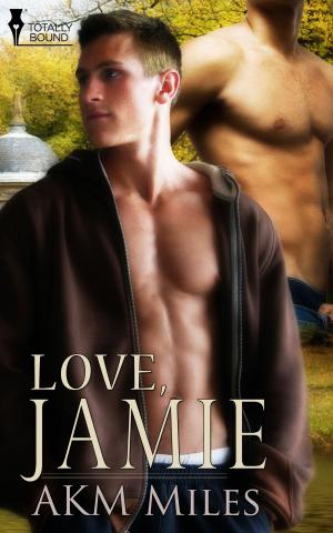 Cover of the book Love, Jamie by Willa  Okati