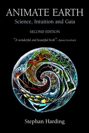 Cover of the book Animate Earth by Satish Kumar