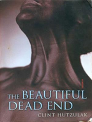 Cover of the book The Beautiful Dead End by Robert Strandquist
