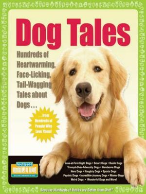 Cover of the book Dog Tales by Mark W. Bernstein, Yadin Kaufmann