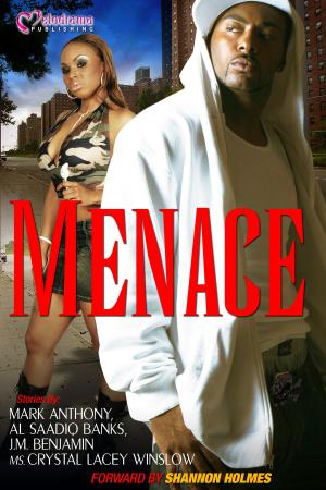 bigCover of the book Menace by 