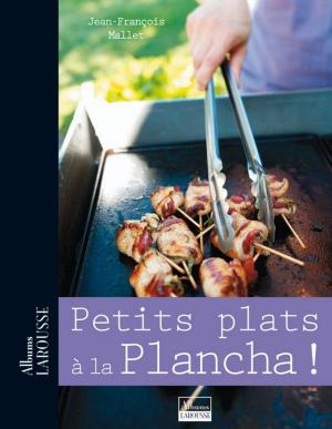 Cover of the book Petits plats à la plancha by Barbara Ellis