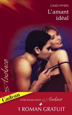 Cover of the book L'amant idéal - Indécente proposition (Harlequin Audace) by Rebecca Flanders