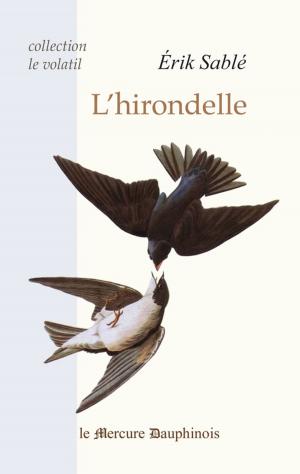 Cover of the book L'hirondelle by Philippe Collin