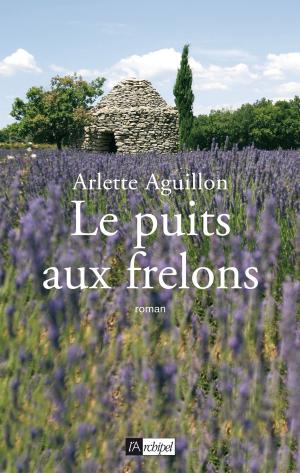 Cover of the book Le puits aux frelons by Anne Golon