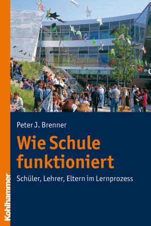 Cover of the book Wie Schule funktioniert by Johann Christoph Bürgel