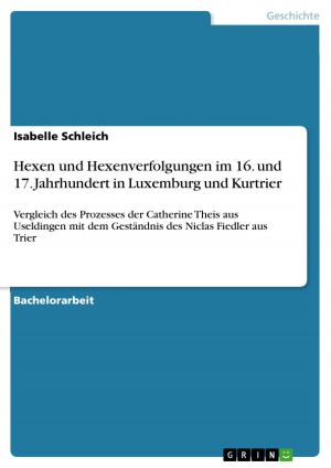 Cover of the book Hexen und Hexenverfolgungen im 16. und 17. Jahrhundert in Luxemburg und Kurtrier by Daniel Detzer