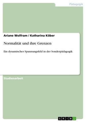 Cover of the book Normalität und ihre Grenzen by Ronny Scharschmidt, Christin Frauendorf
