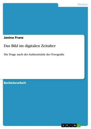 Cover of the book Das Bild im digitalen Zeitalter by Robert E. Davis