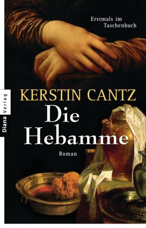 Cover of the book Die Hebamme by Brigitte Riebe