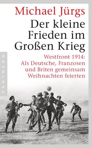 Cover of the book Der kleine Frieden im Großen Krieg by Achim Peters