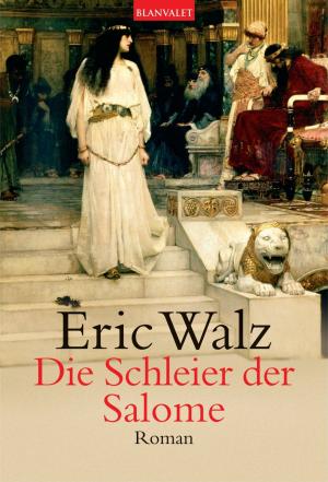 Cover of Die Schleier der Salome