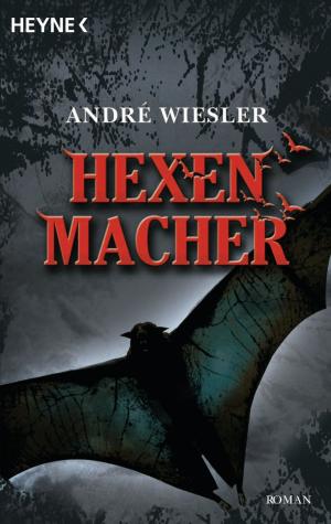 Cover of the book Hexenmacher by Ann C. Crispin