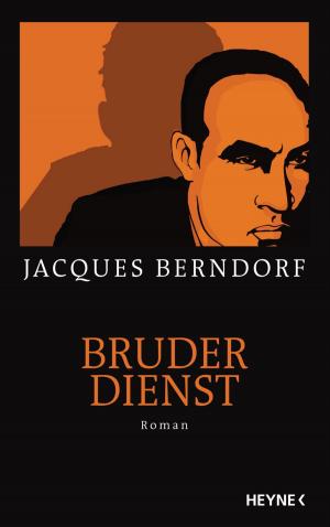 Book cover of Bruderdienst