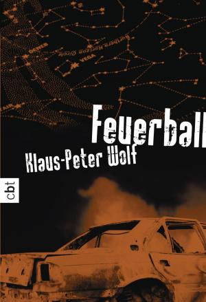 Cover of the book Feuerball by Chris Bradford