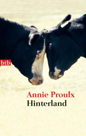 Cover of the book Hinterland by Terézia Mora