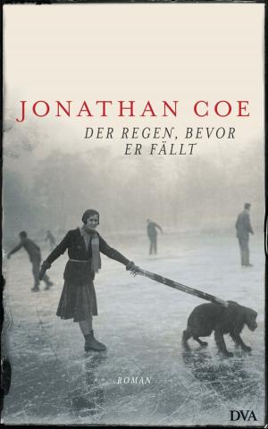 Cover of the book Der Regen, bevor er fällt by Willemijn van Dijk