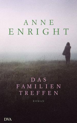 Book cover of Das Familientreffen
