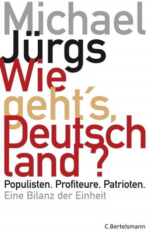 Cover of the book Wie geht's, Deutschland? by Penelope Lively