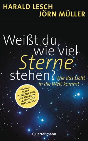 Cover of the book Weißt du, wie viel Sterne stehen? by Achim Peters