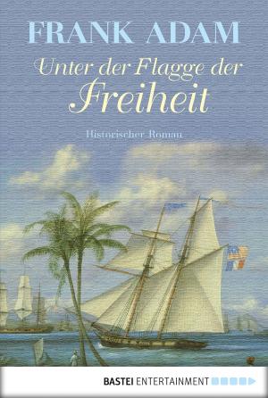 Cover of the book Unter der Flagge der Freiheit by Wolfgang Hohlbein