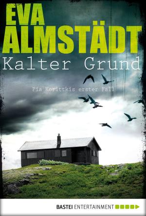 Cover of the book Kalter Grund by Pamela Kenney