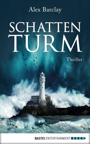 Cover of the book Schattenturm by Stefan Frank