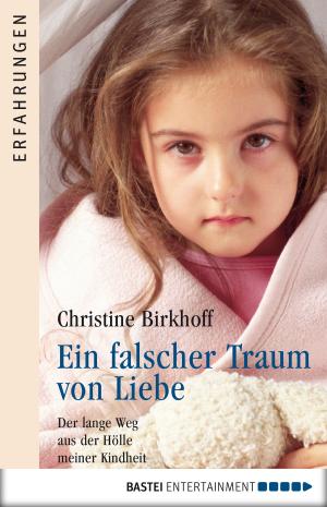 Cover of the book Ein falscher Traum von Liebe by Norbert Golluch