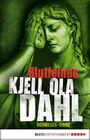 Cover of the book Blutfeinde by Dan Adams