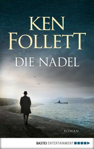 Cover of the book Die Nadel by Sebastian Brettschneider