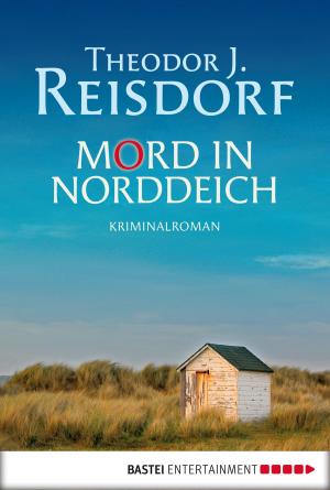 Book cover of Mord in Norddeich