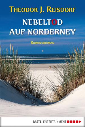 Cover of the book Nebeltod auf Norderney by C. L. Wilson
