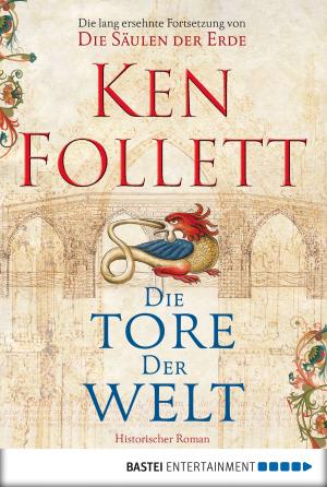 Cover of the book Die Tore der Welt by Richard Montanari