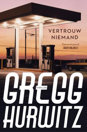 Cover of the book Vertrouw niemand by Gerard de Villiers