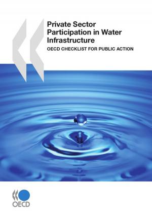 Cover of the book Private Sector Participation in Water Infrastructure by Collectif