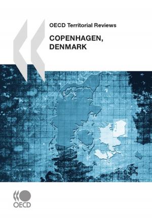 bigCover of the book OECD Territorial Reviews: Copenhagen, Denmark 2009 by 