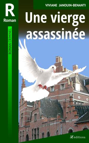 Cover of the book Une vierge assassinée by Viviane Janouin-Benanti