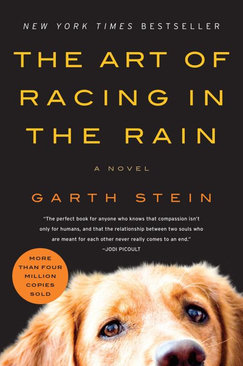 Cover of the book The Art of Racing in the Rain by Garth Stein, HarperCollins e-books