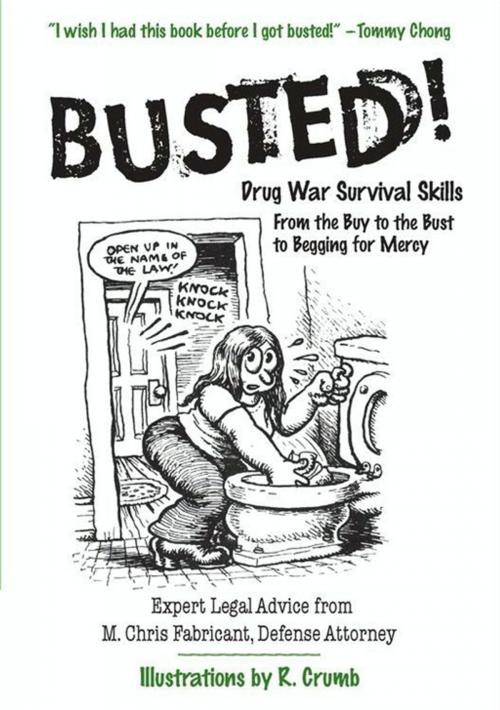 Cover of the book Busted! by M. Chris Fabricant, HarperCollins e-books