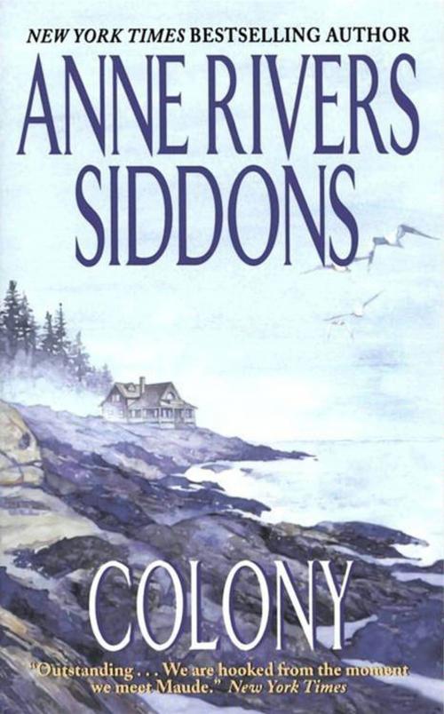 Cover of the book Colony by Anne Rivers Siddons, HarperCollins e-books