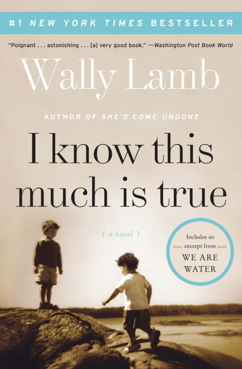 Cover of the book I Know This Much Is True by Wally Lamb, HarperCollins e-books