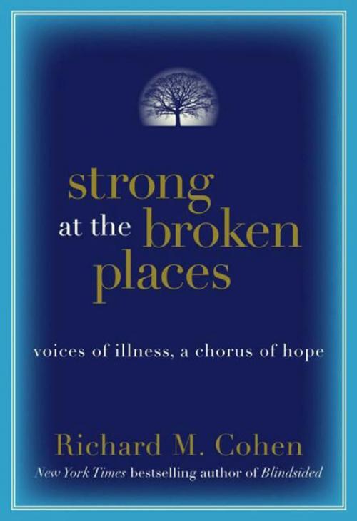 Cover of the book Strong at the Broken Places by Richard M. Cohen, HarperCollins e-books