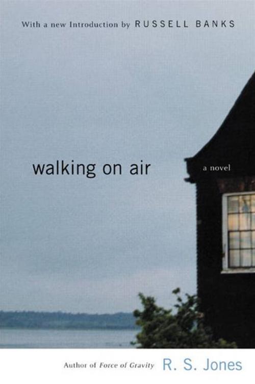 Cover of the book Walking on Air by R.S. Jones, HarperCollins e-books