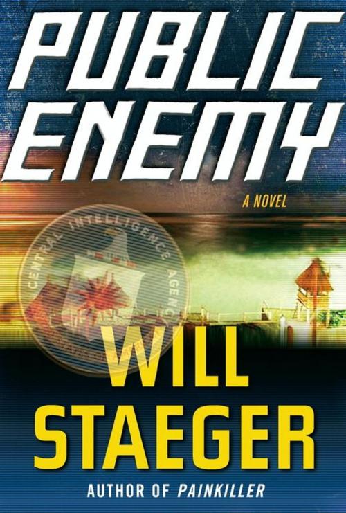 Cover of the book Public Enemy by Will Staeger, HarperCollins e-books