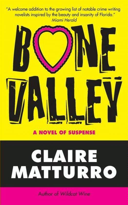 Cover of the book Bone Valley by Claire Matturro, HarperCollins e-books