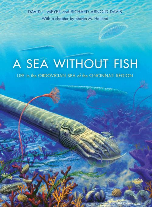 Cover of the book A Sea without Fish by Richard Arnold Davis, Steven M Holland, David L Meyer, Indiana University Press