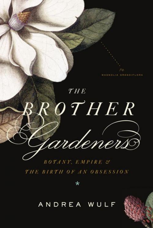 Cover of the book The Brother Gardeners by Andrea Wulf, Knopf Doubleday Publishing Group