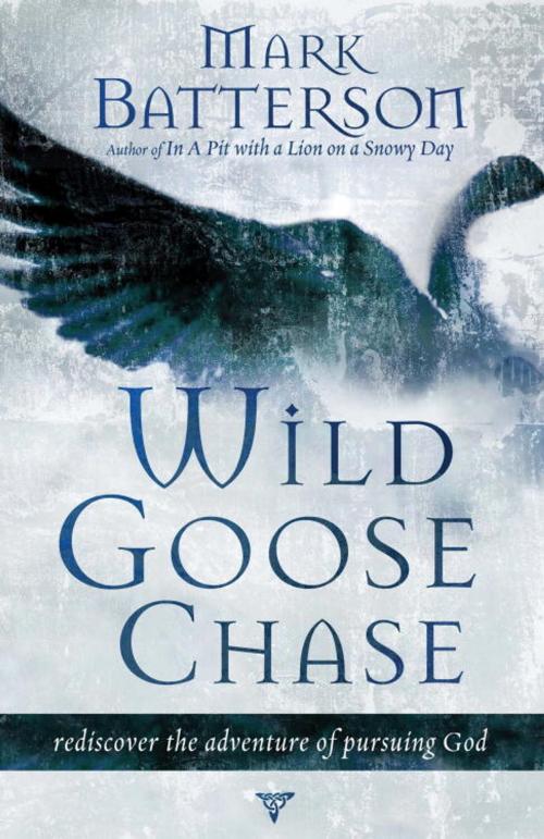 Cover of the book Wild Goose Chase by Mark Batterson, The Crown Publishing Group