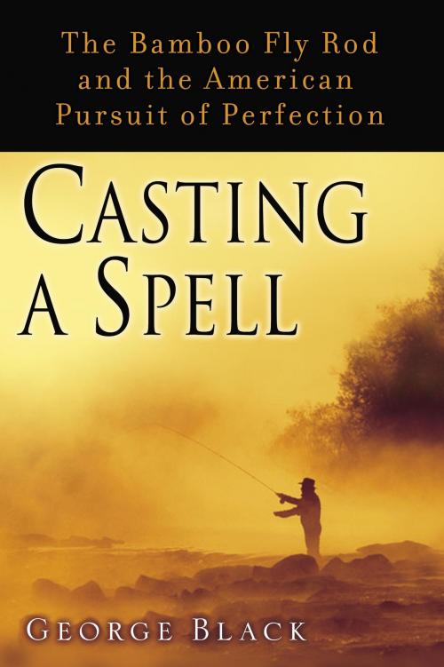 Cover of the book Casting a Spell by George Black, Random House Publishing Group
