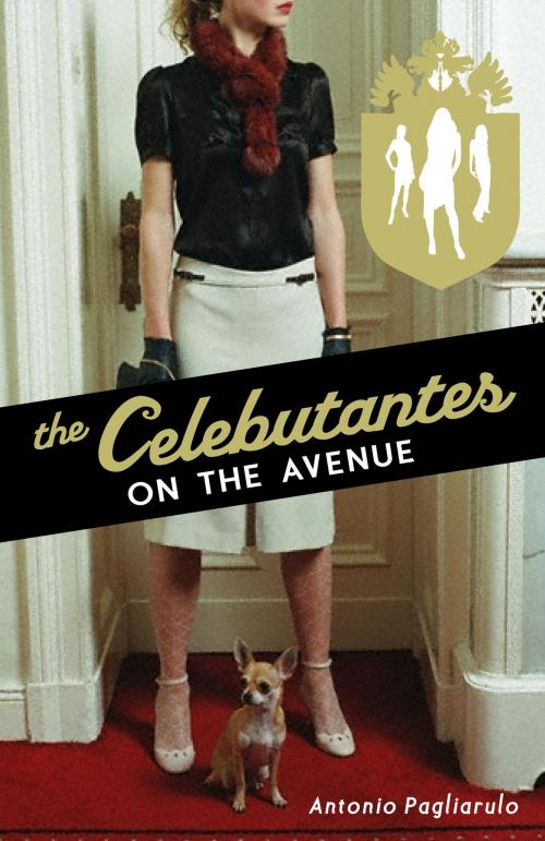 Cover of the book The Celebutantes: On the Avenue by Antonio Pagliarulo, Random House Children's Books